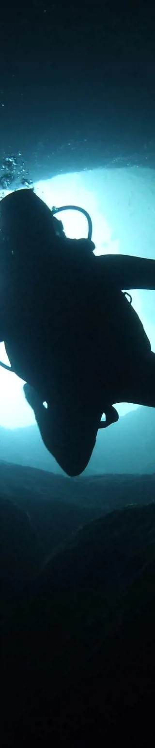In die Blauen Löcher der Bahamas abtauchen